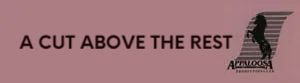 A Cut Above The Rest – Appaloosa Productions logo