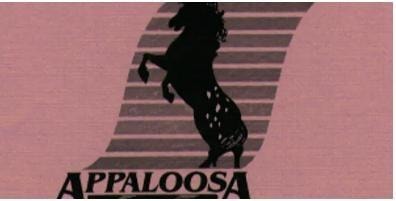 Appaloosa Productions rearing horse logo on pink background